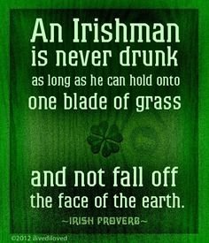 7d9bef9186952187949f856608908115--funny-irish-jokes-irish-sayings.jpg.ca950e20691fb447266f1462c0a7b658.jpg
