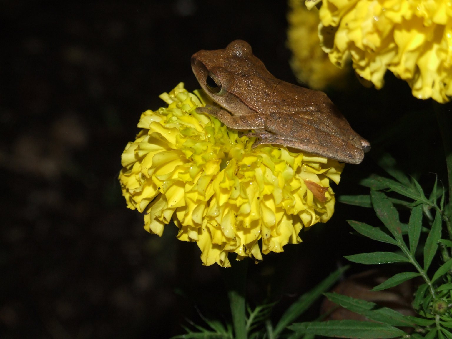 DSCF5692.JPG