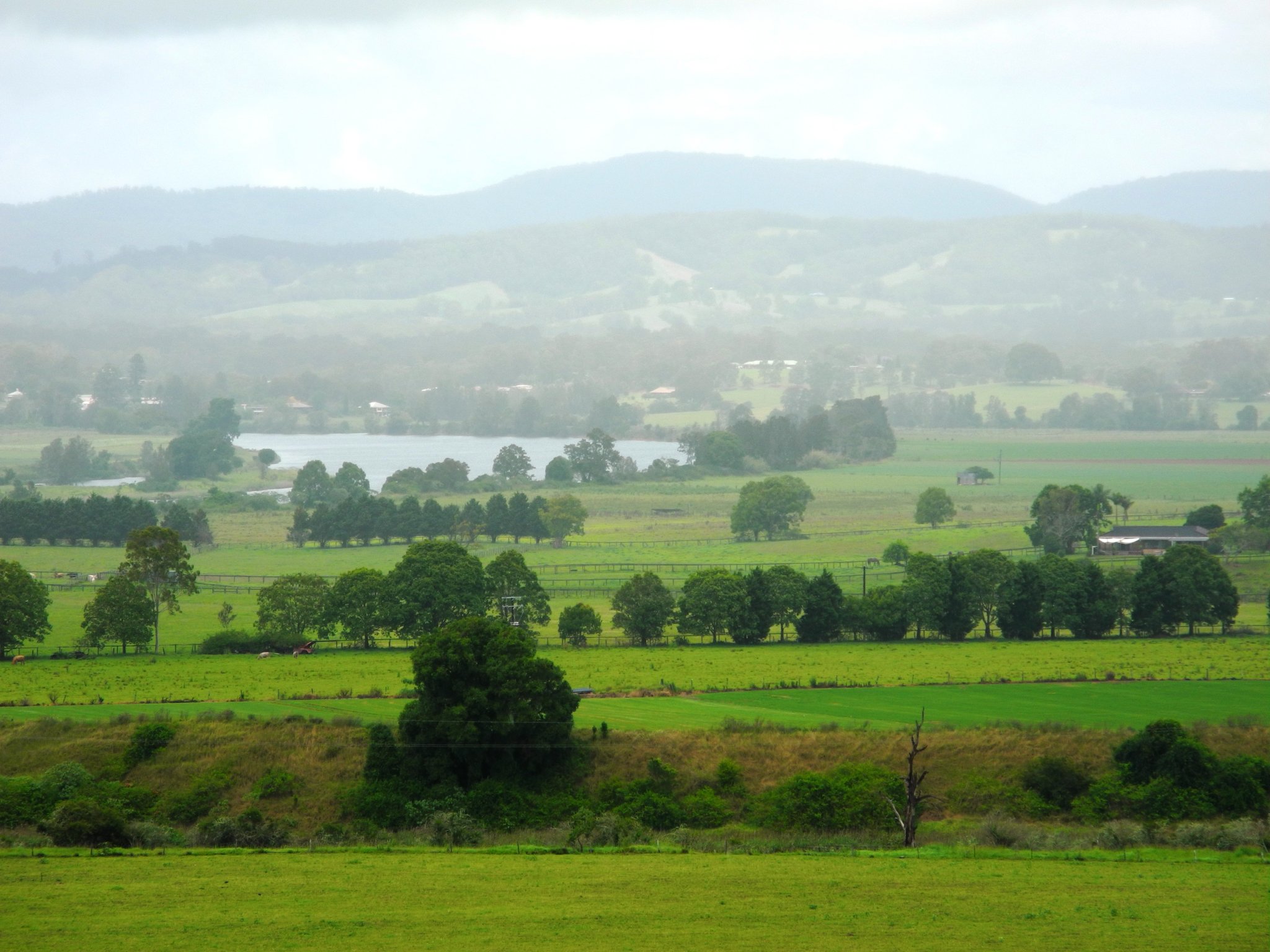 DSCN0466.JPG