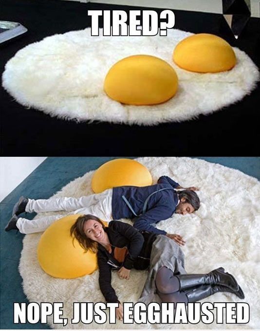 Egghausted.jpg.614928b10069dbc02e7a90fa7348ec66.jpg