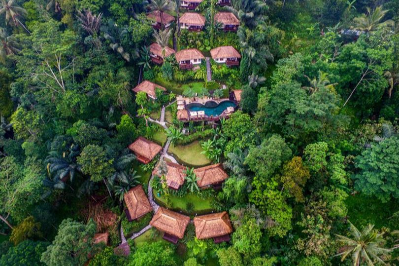 PAY-Jungle-Villa.jpg