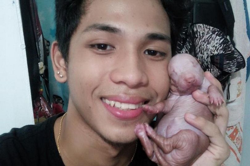 PAY-KNM_HAIRLESS_DOG_MISTAKEN_FOR_GENITALS-2m1.jpg
