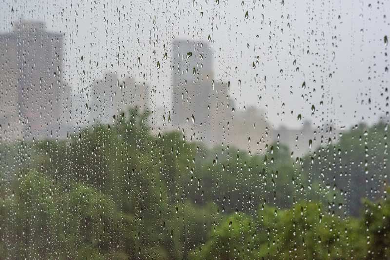 RAIN.jpg