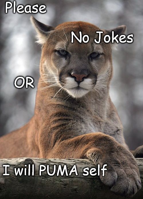 puma.jpg.b5802427b5d5f1a14fd50d8a56c20e9d.jpg