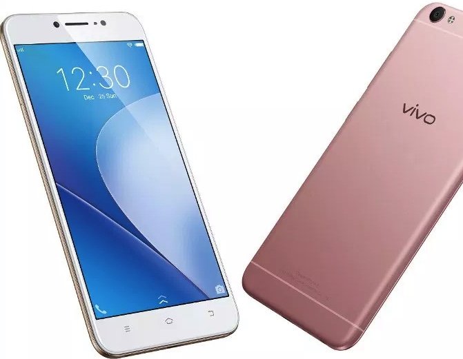 vivo.jpg