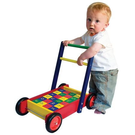 0000296_baby-walker-with-abc-blocks_450.jpg.8b8b82b2597e5f4c3a57ddc771574e48.jpg