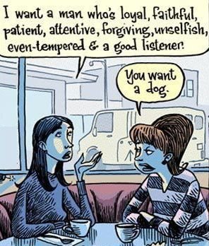 1453865870_dogwanted.jpg.56da9efedb21008b05a3d8abf2c6bb13.jpg