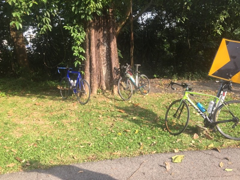 3 Bikes at Federal Hill