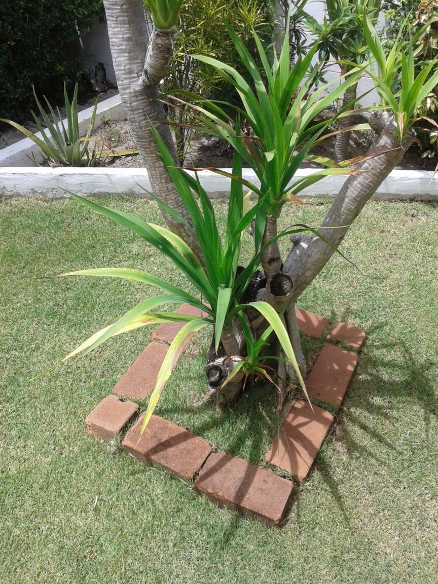 20180621_112000.jpg