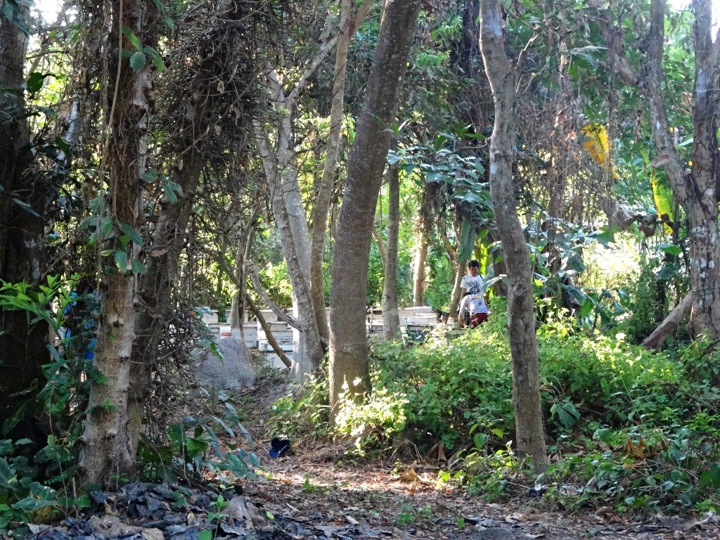DSC01435s.JPG.8a111c59b602f61ed9e2754a40e15fa5.JPG