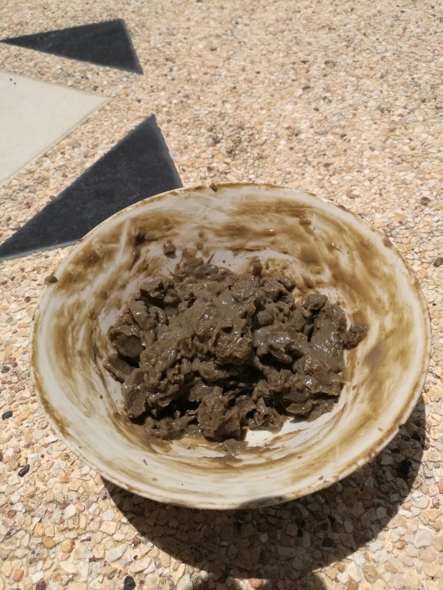 IMG_20180607_122839.jpg