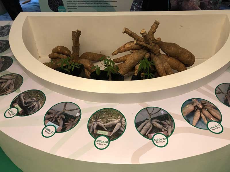 PNECO610628001001003.jpg