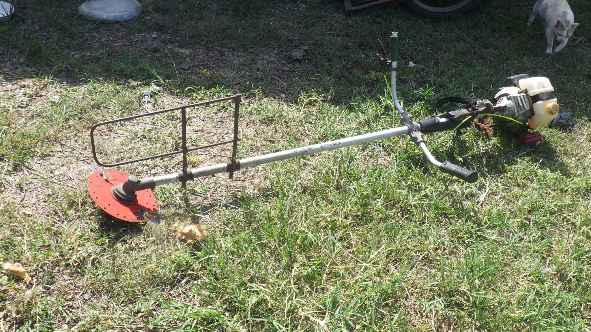 RIMG0323.JPG
