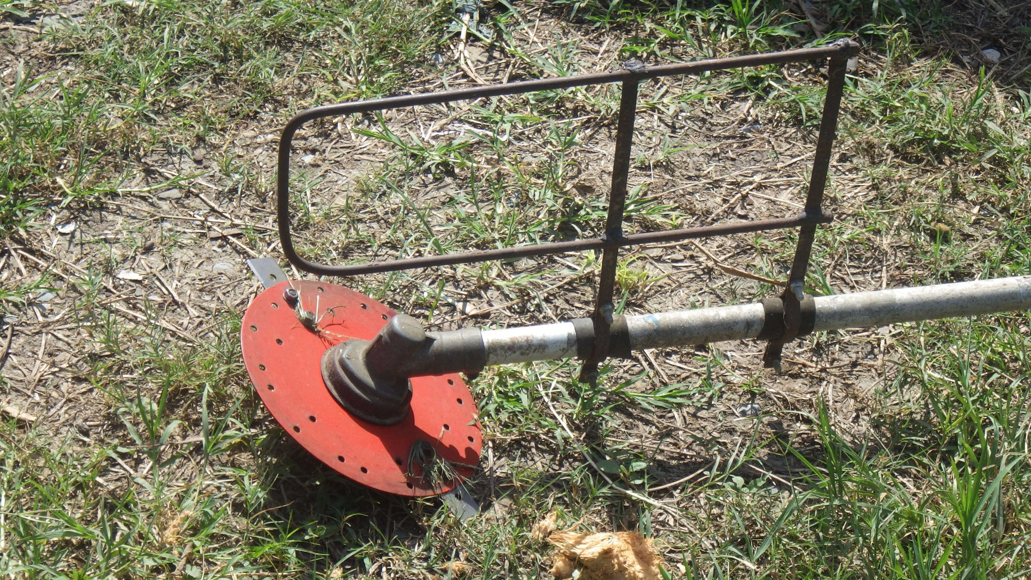 RIMG0325.JPG