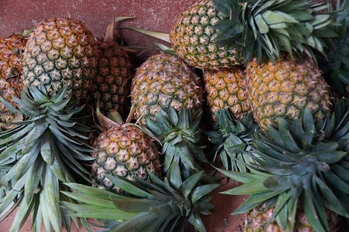 pineapple.jpg