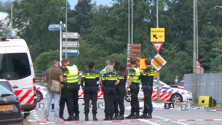 pinkpop_5.png