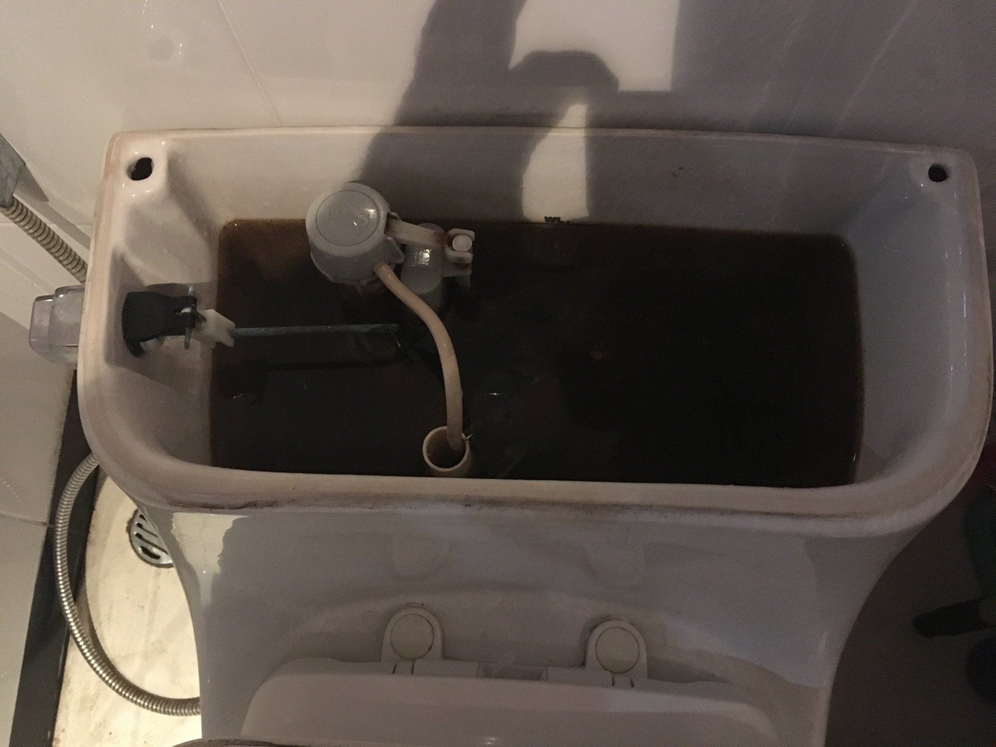 toilet.thumb.jpg.8ae6a1c5fb316033323619b53b87f86c.jpg