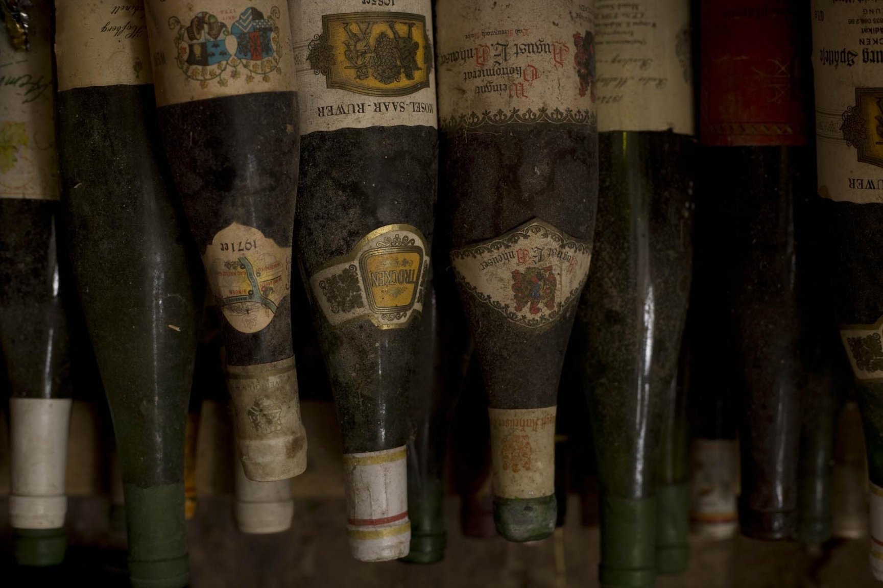 wine.jpg