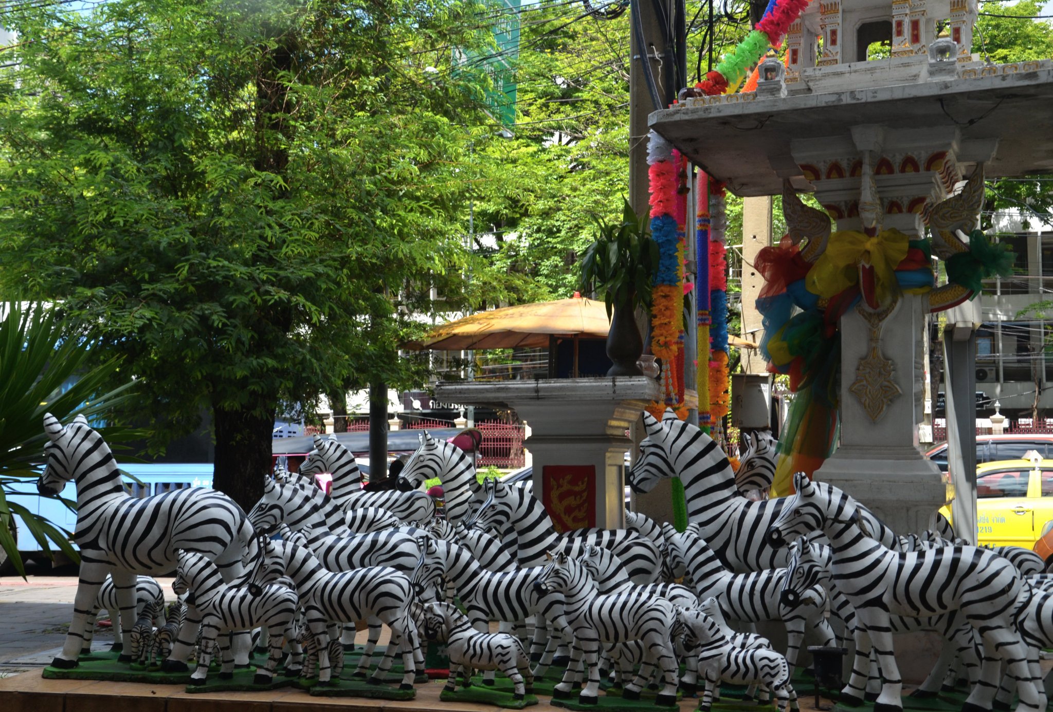 zebra.JPG