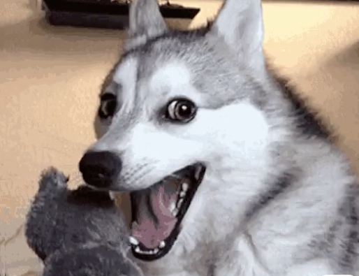 1418005584_ScreenShot2018-07-18at3_37_05AM.png.e60c5fd9672fc5adf1bd498bbde73013.png
