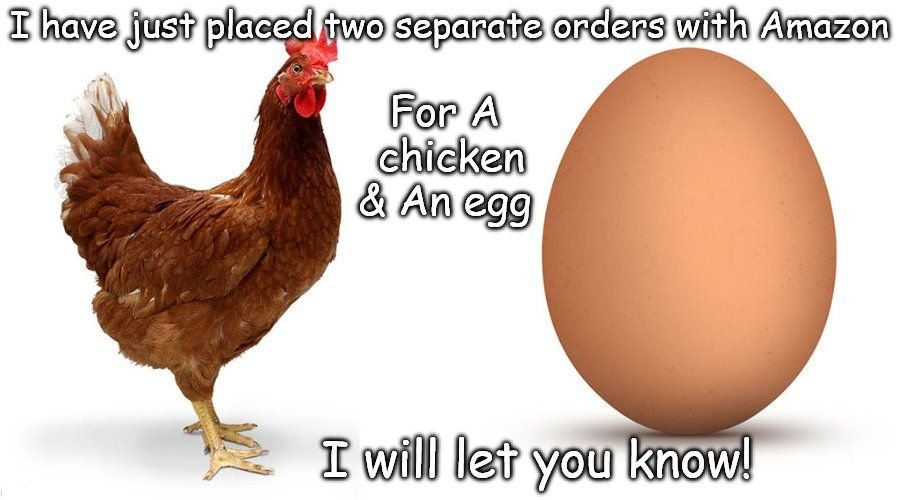 1728116788_1Chikenegg.jpg.42f4ba5e1f6f491d802caadbcee09164.jpg