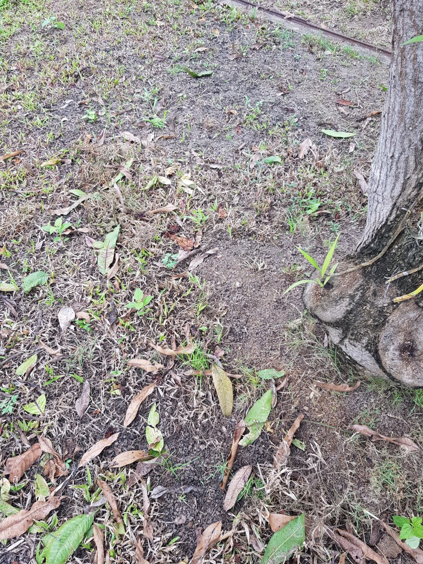20180726_135301[1].jpg