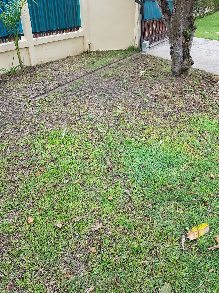 20180726_135243[1].jpg