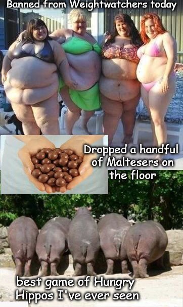 1Malteesers.jpg.04077fa1ff9e5720d1dcb524beb940e5.jpg