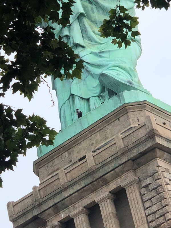 2018-07-05T143109Z_1_LYNXMPEE641FM_RTROPTP_3_NEW-YORK-STATUE.JPG