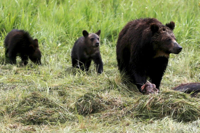 2018-07-19T203833Z_2_LYNXMPEE6I1UD_RTROPTP_3_USA-TRUMP-WILDLIFE.JPG