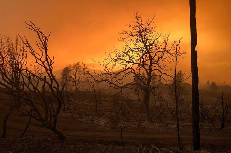 2018-07-29T230120Z_3_LYNXMPEE6R0FQ_RTROPTP_4_USA-WILDFIRES.JPG
