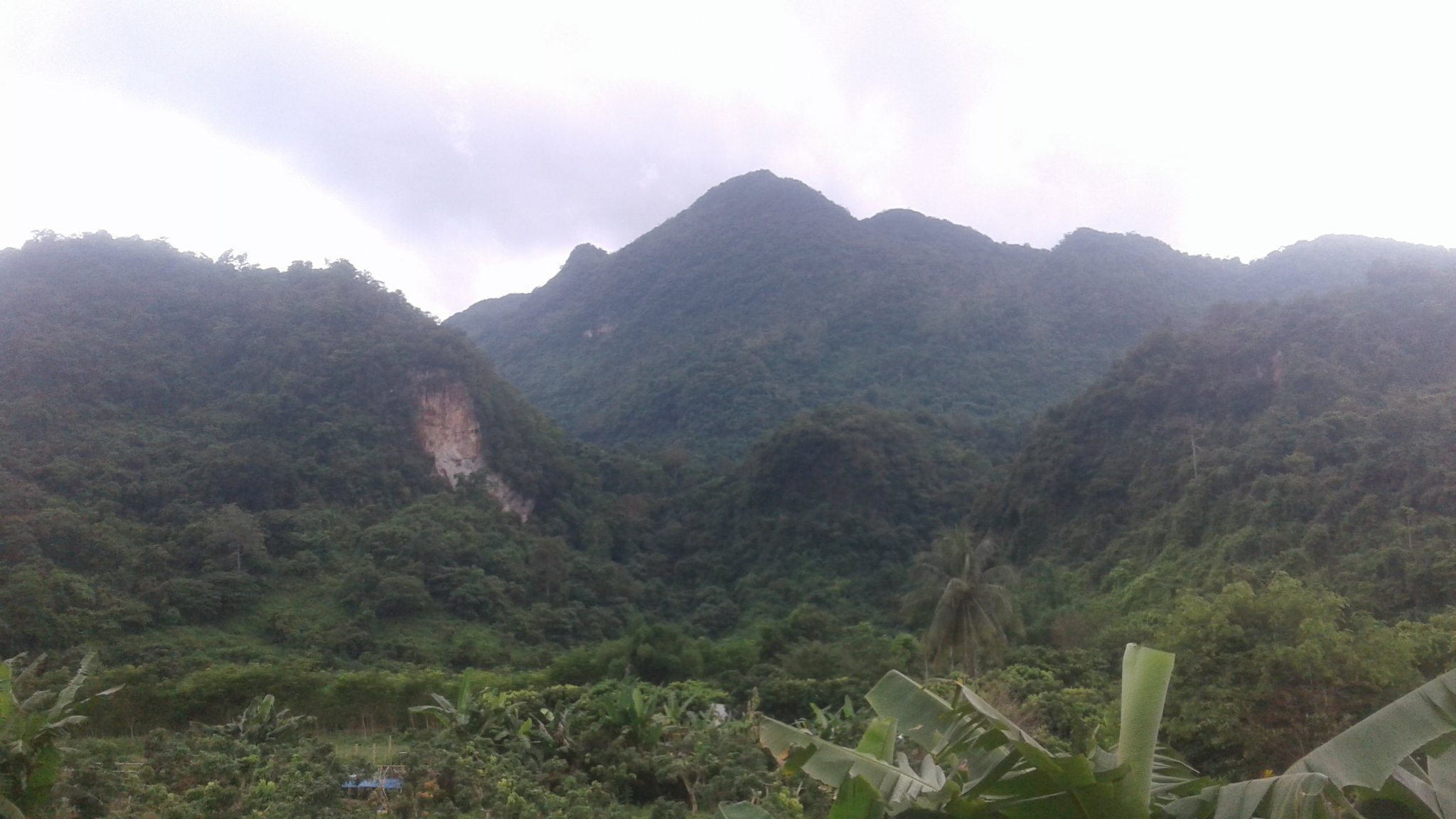 20180703_141146.jpg