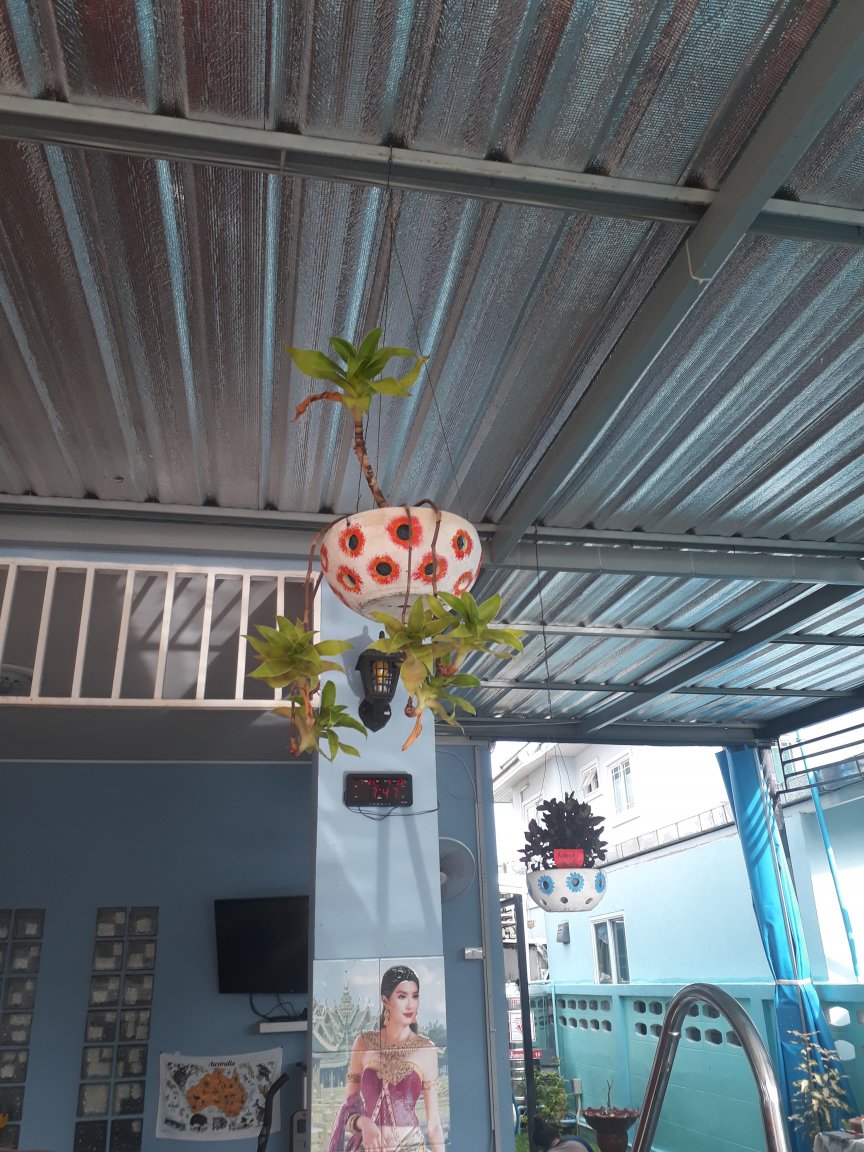 20180724_074924.jpg