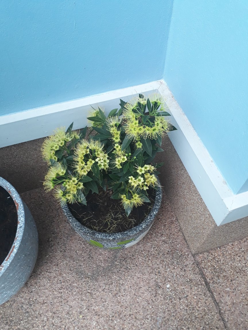 20180724_074957.jpg