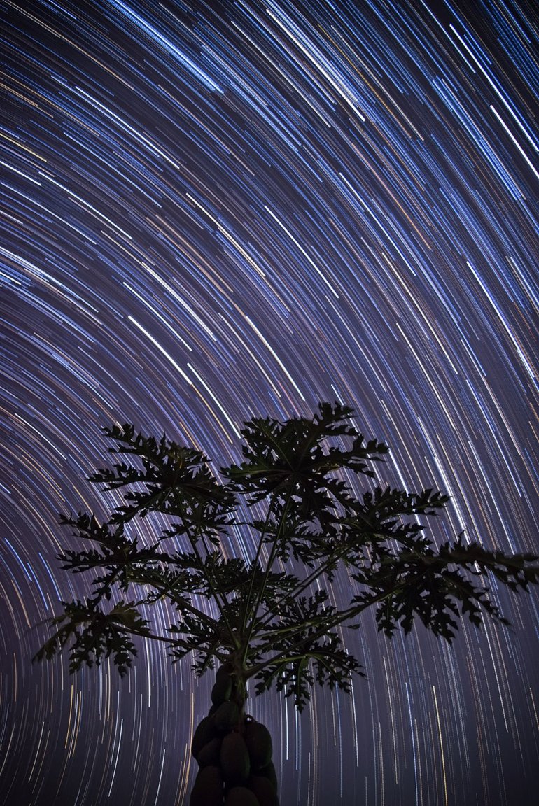 StarStaX_DSC_1145-DSC_1223_lighten - Processed 1024.jpg