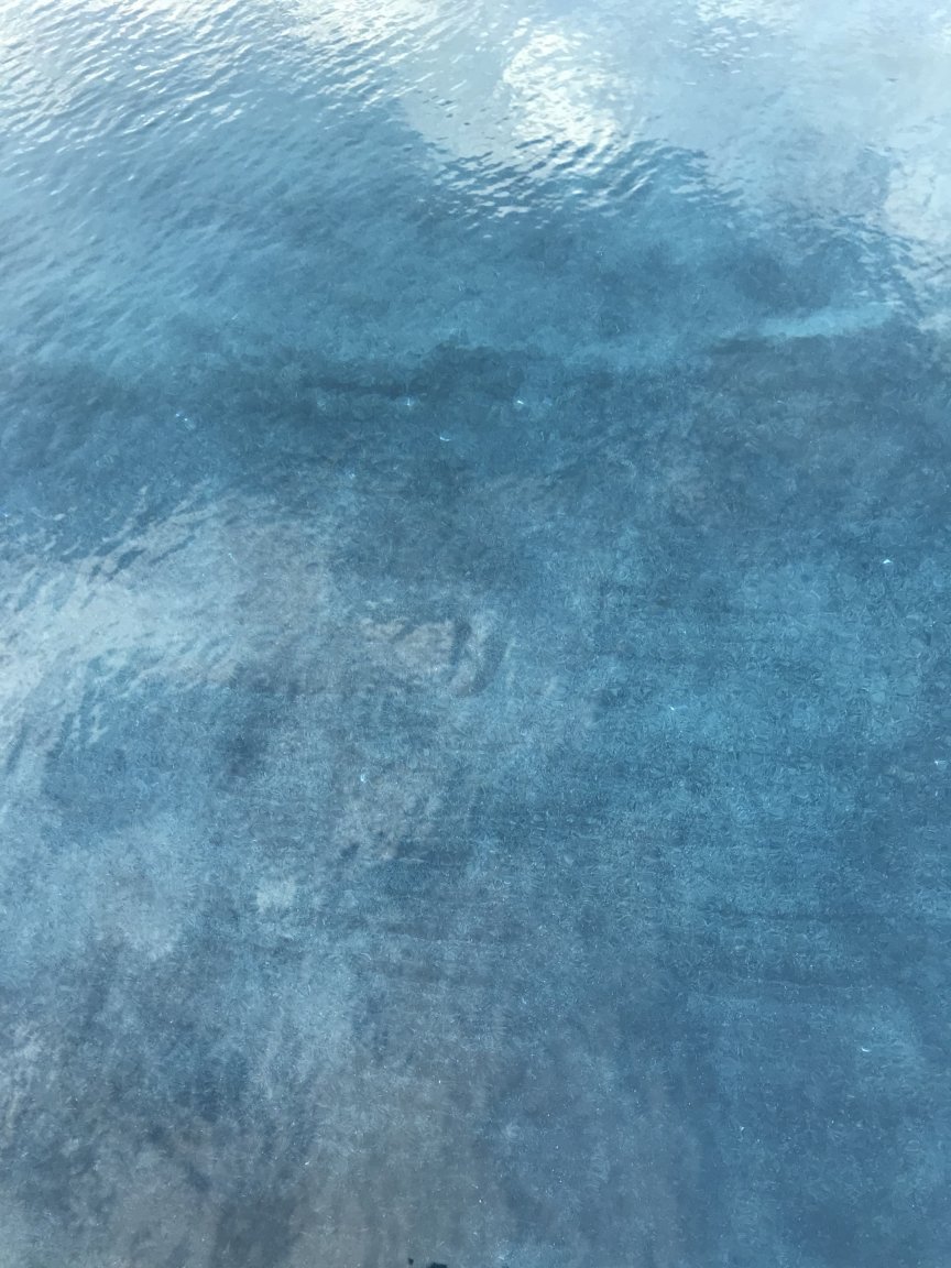 C252F507-A45A-4E6E-AFA2-30227C2C9228.jpeg