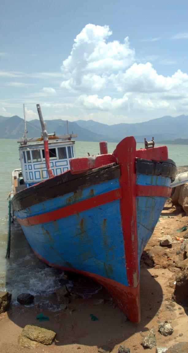 DSC_0560.jpg