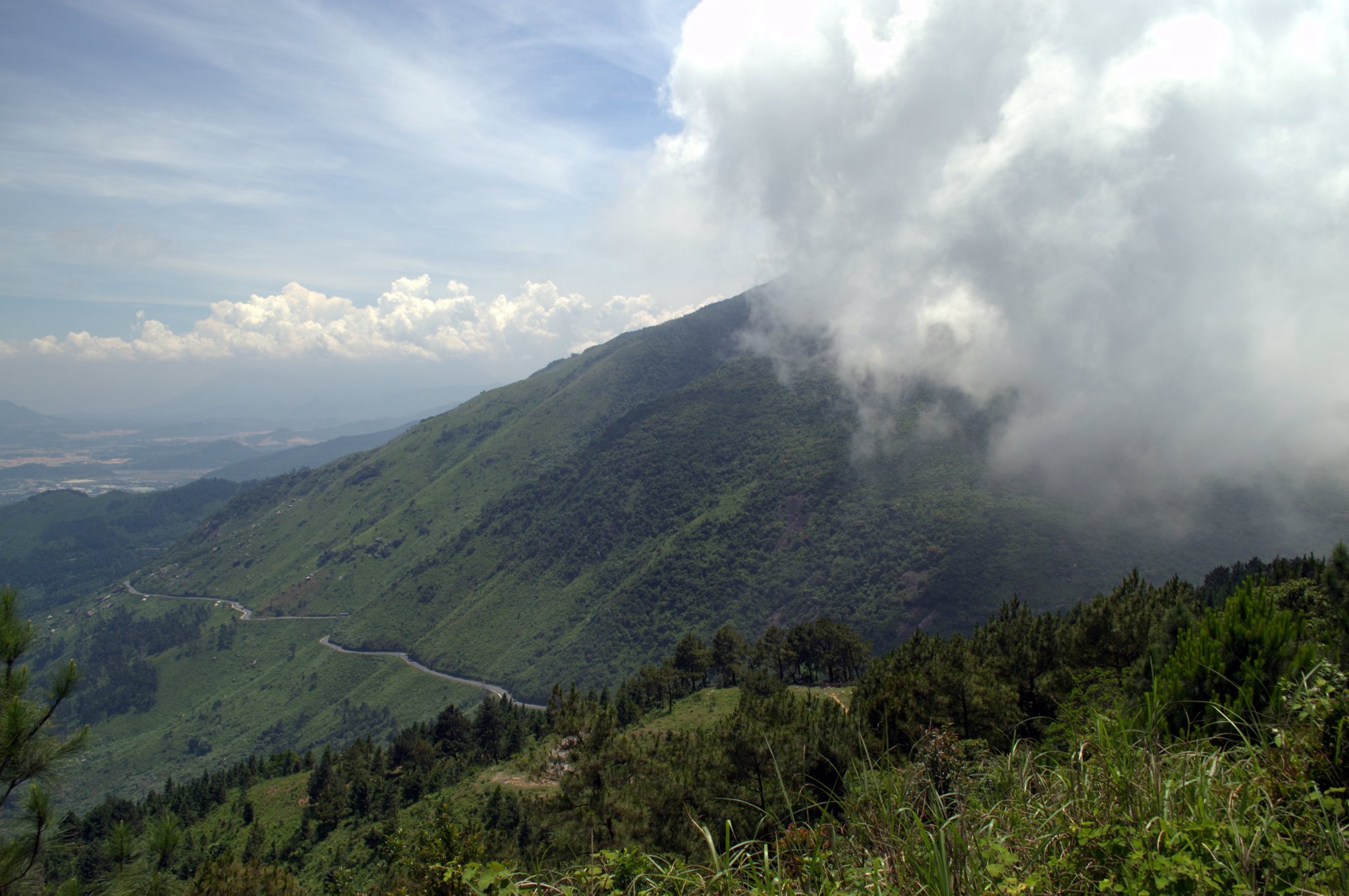 DSC_0709.jpg