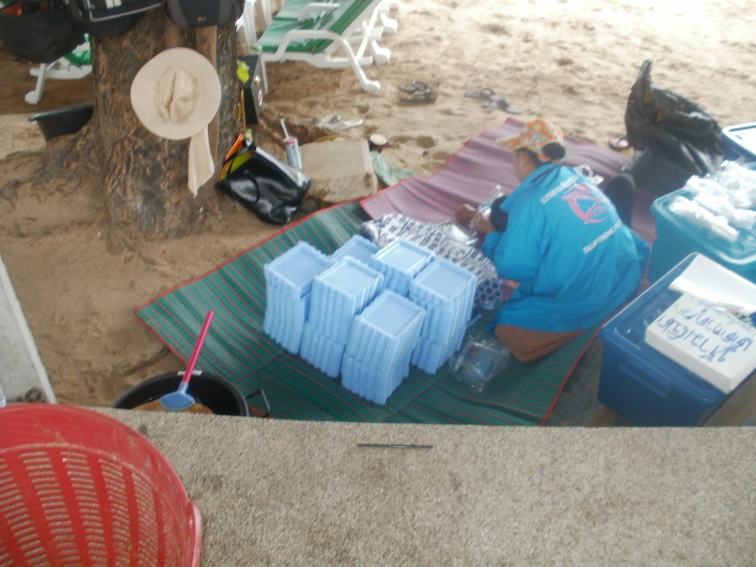 P1010227.JPG