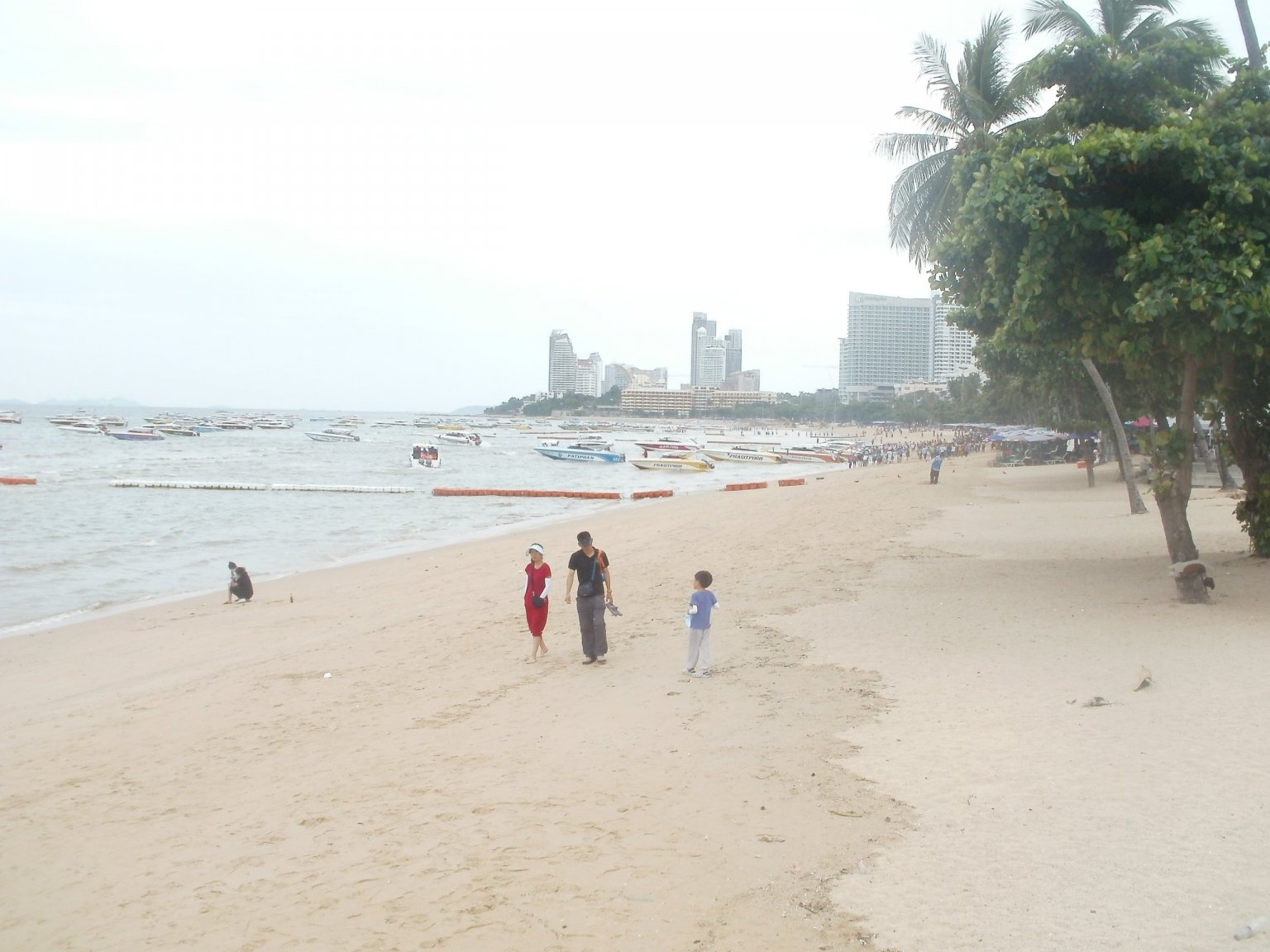 P1010233.JPG