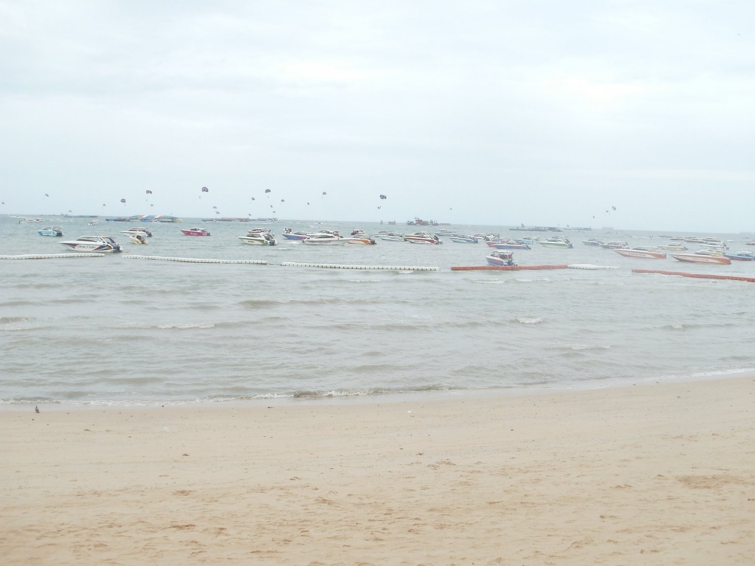 P1010235.JPG