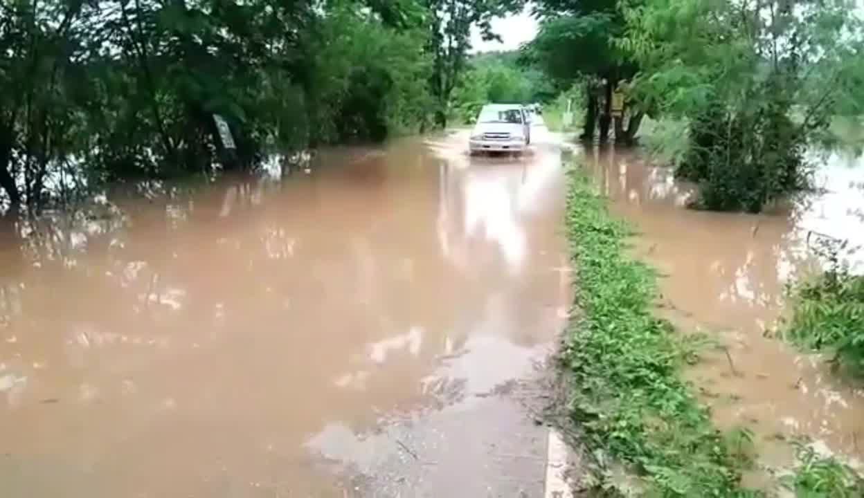 PNEVN610719001000101.jpg