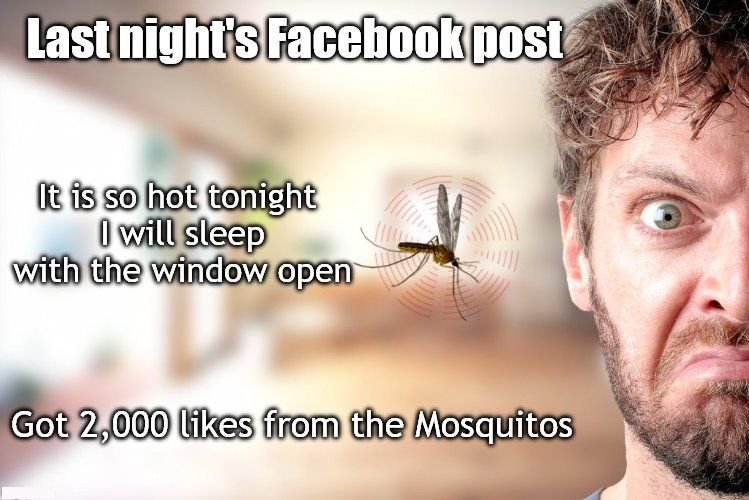mosquito.jpg.9efb7cb4caa4407752b5f23fea1ced26.jpg