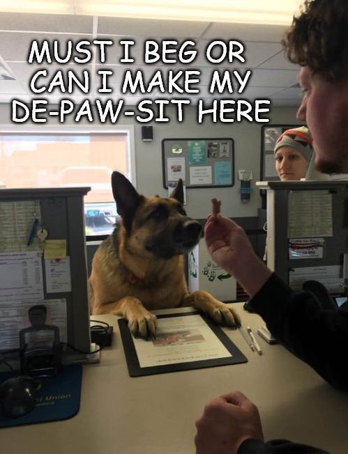 1229259757_depawsit.jpg.e88c25d2f8b0e6ace61d109759ecb3d5.jpg