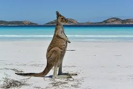 lucky bay.png