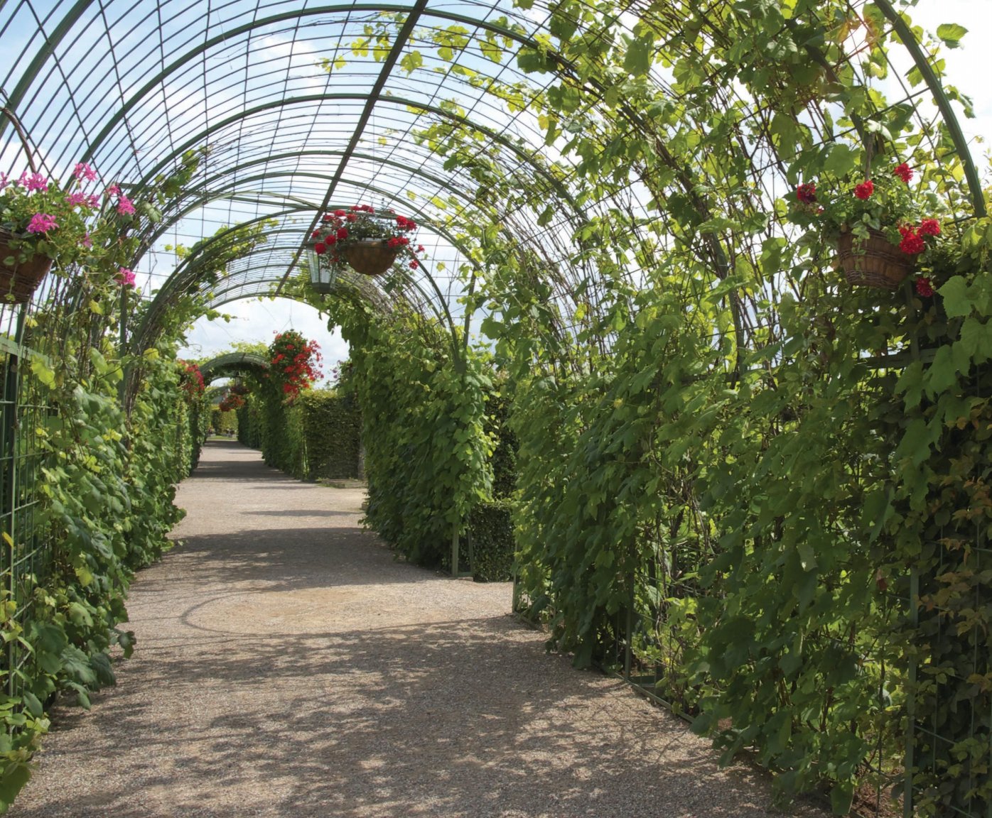 pergola arbour.jpg