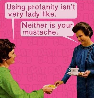 1417641504_femaleinsults.jpg.e07c6bc6b65c35e7dc4bd8c91a564ccf.jpg