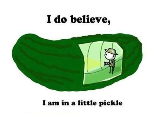 1457731008_littlepickle.jpg.4f41054b1f7b9b68716957565bd5fff9.jpg
