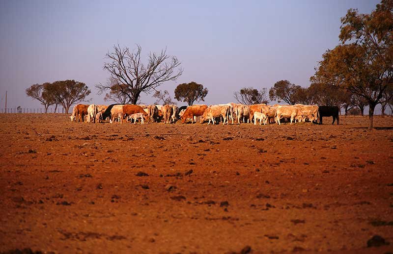2018-08-08T140959Z_1_LYNXMPEE7719T_RTROPTP_4_AUSTRALIA-DROUGHT-ASSISTANCE.JPG