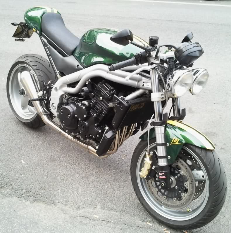 863669175_S3Italiangreenie1.jpg.d9af4acb7ba85d7ae876c66aa55cf01a.jpg
